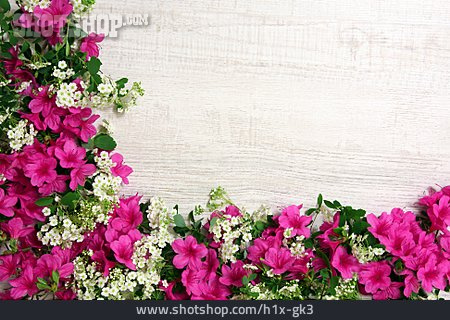 
                Blumenschmuck, Blumenrahmen                   
