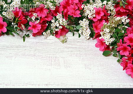 
                Blumenrahmen                   