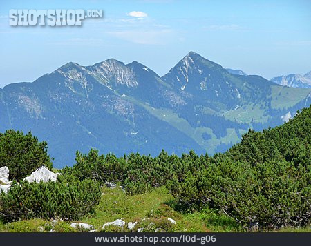 
                Alpen, Tirol, Pillerseetal                   