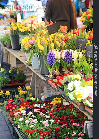
                Blumenmarkt, Blumenstand, Gartenmarkt                   