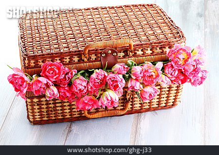 
                Blume, Tulpe, Koffer                   