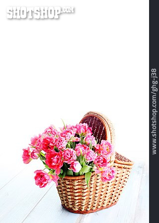 
                Blume, Korb, Tulpe, Blumenstrauß                   