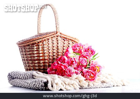
                Korb, Tulpe, Blumenstrauß, Picknickkorb                   