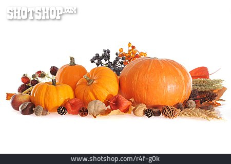 
                Herbst, Kürbis, Erntedankfest                   