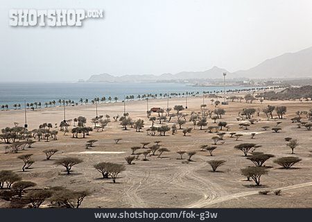 
                Wüste, Fujairah, Golf Von Oman                   
