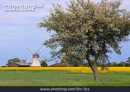 
                Landwirtschaft, Windmühle                   