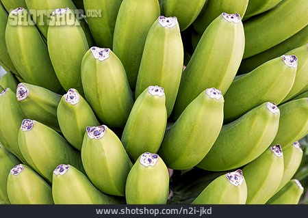 
                Bananenstaude                   