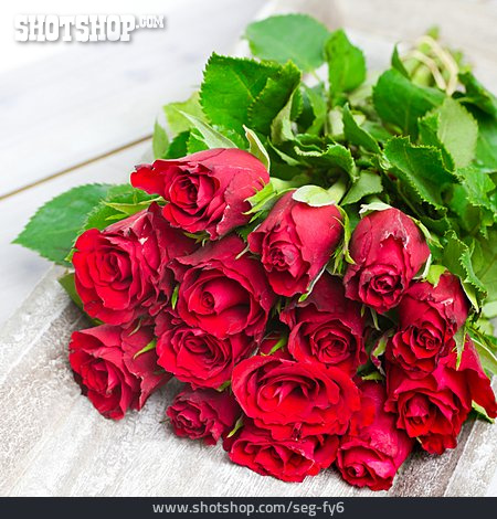 
                Blumenstrauß, Rote Rosen, Blumengeschenk                   