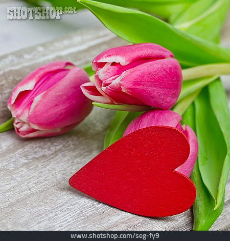 
                Herz, Valentinstag, Tulpen                   