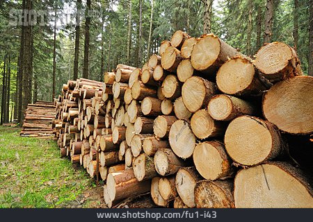 
                Holz, Fichtenholz                   