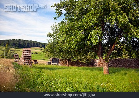 
                Landschaft, Holzstapel, Thüringen, Brennholz                   