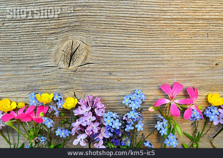 
                Textfreiraum, Blumen, Blüten                   