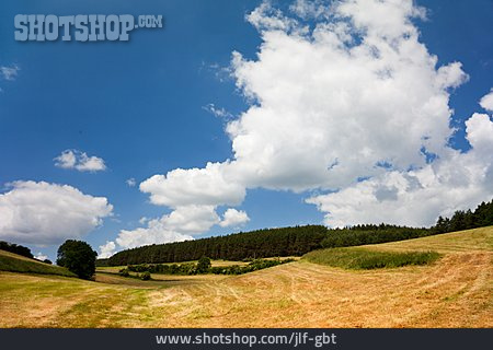 
                Felder, Weiden, Thüringen, Hummelshain                   