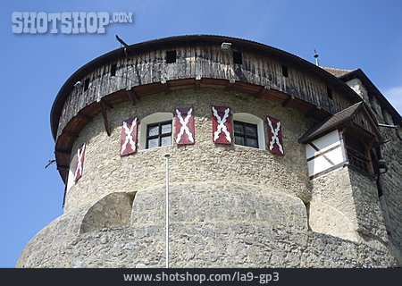 
                Burg, Festung, Vaduz                   