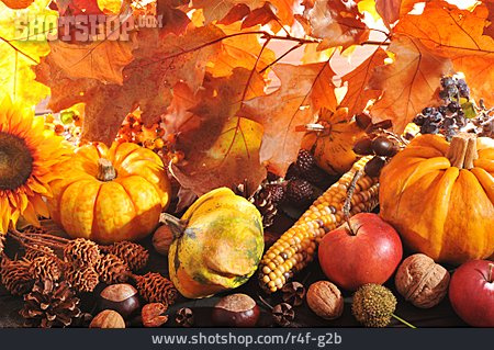 
                Herbst, Erntedank, Herbstdekoration                   