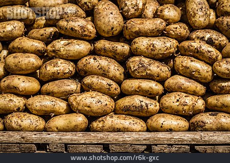 
                Kartoffeln, Speisekartoffeln, Frühkartoffeln                   