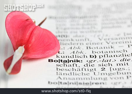 
                Botany, Watery Heart, Reference Book                   