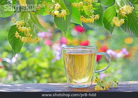 
                Tee, Lindenblütentee                   
