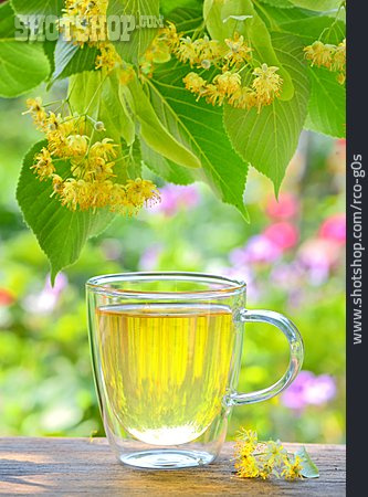
                Tee, Pflanzenheilkunde, Lindenblütentee                   