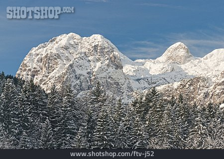 
                Alpen, Oberbayern, Winterwald                   