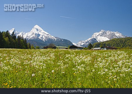 
                Gebirge, Blumenwiese, Watzmann                   