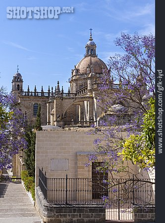
                Kathedrale, Jerez De La Frontera                   