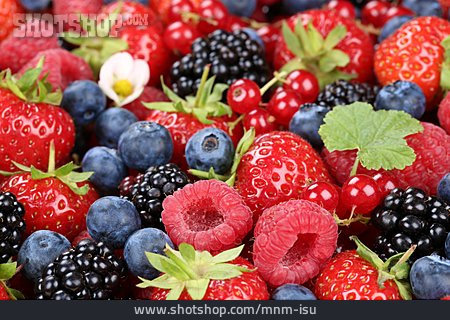 
                Erdbeeren, Himbeeren, Brombeeren, Blaubeeren, Beerenmischung                   
