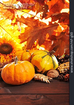
                Herbst, Kürbis, Erntedankfest, Thanksgiving                   