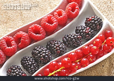 
                Berries                   