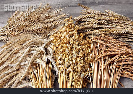 
                Getreide, Weizen, Roggen, Dinkel, Hafer                   