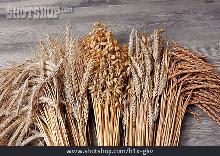 
                Getreide, Vielfalt                   