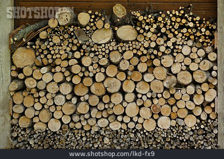 
                Holzstapel, Baumstämme, Brennholz                   