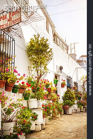 
                Alley, Andalusia, Flower Shop                   