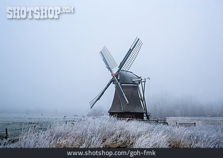 
                Winter, Windmühle, Wedelfelder Mühle                   
