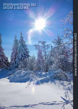 
                Winter, Winterlandschaft, Schnee, Wintersonne                   