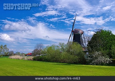 
                Windmühle, Westerbur, Sielmühle                   
