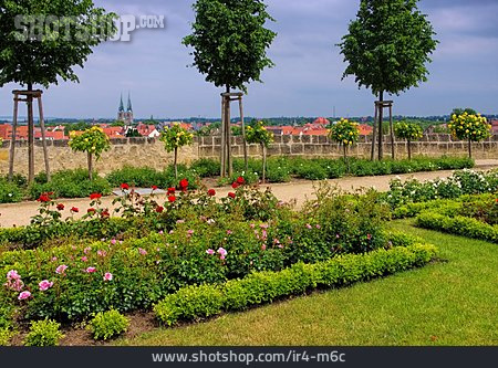 
                Park, Quedlinburg, Schlossgarten                   