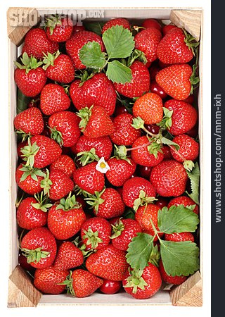 
                Ernte, Kiste, Erdbeeren                   