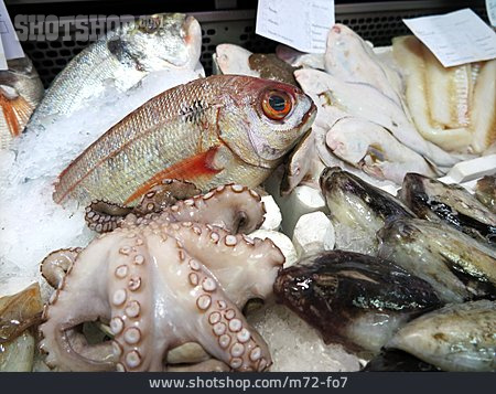 
                Meeresfrüchte, Frischfisch, Fischgeschäft                   
