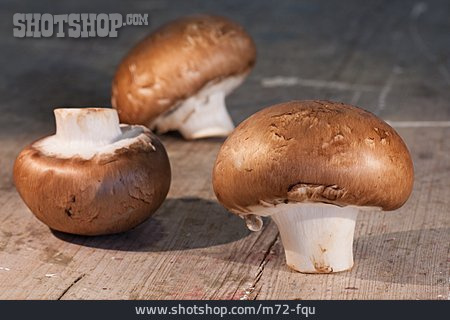 
                Champignon                   