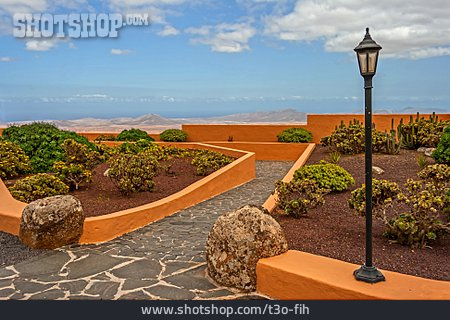 
                Park, Fuerteventura                   