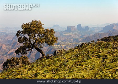 
                äthiopien, Sämen-nationalpark                   