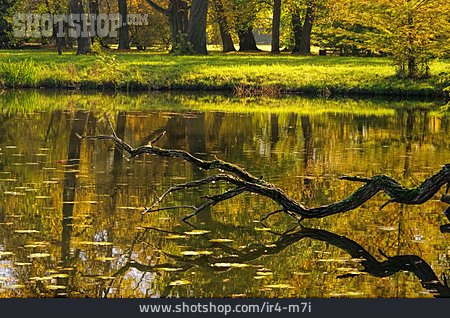 
                Herbst, Wörlitzer Park                   