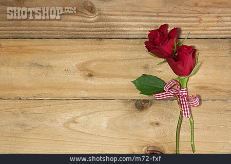 
                Rose, Valentinstag                   