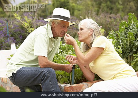 
                Kräuter, Gartenarbeit, Seniorenpaar                   
