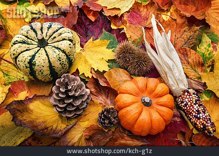 
                Herbstlich, Erntedank, Herbstdekoration                   