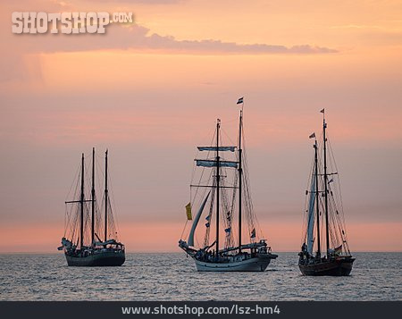 
                Segelschiff, Segeln, Hanse Sail                   