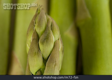 
                Grüner Spargel, Spargelspitze                   