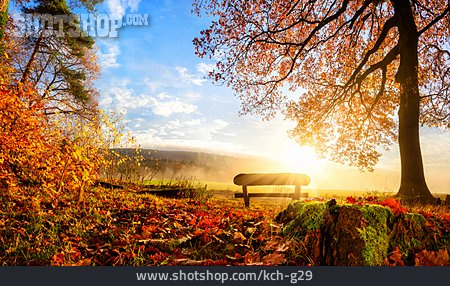 
                Autumn, Autumn Leaves, Autumn, Wooden Bench                   