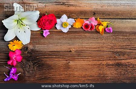 
                Blumengruß, Holzuntergrund, Blumenrahmen                   